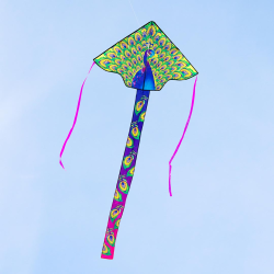 Latawiec Simple Flyer 120 Peacock - Sklep z latawcami
