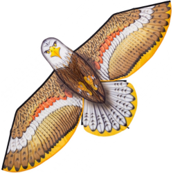 HQ Bird Kite Eagle