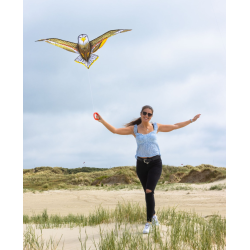 HQ Bird Kite Eagle
