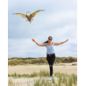 HQ Bird Kite Eagle