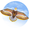 HQ Bird Kite Eagle
