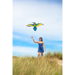 HQ Bird Kite Hummingbird