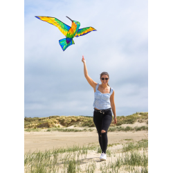HQ Bird Kite Hummingbird