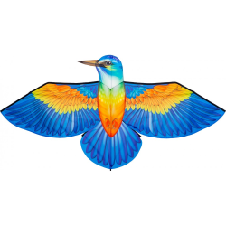 HQ Bird Kite Kingfisher
