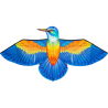HQ Bird Kite Kingfisher