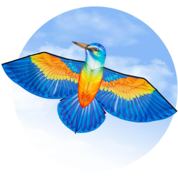 HQ Bird Kite Kingfisher