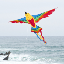 latawiec-bird-dragon-rainbow