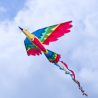 latawiec-bird-dragon-rainbow
