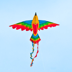latawiec-bird-dragon-rainbow