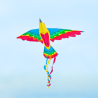latawiec-bird-dragon-rainbow