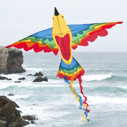 latawiec-bird-dragon-rainbow