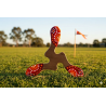 Wallaby Boomerang Yallingup
