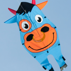 latawiec-strong-buddy-bull