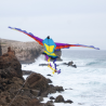 latawiec-bird-kite-paradise