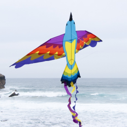 latawiec-bird-kite-paradise