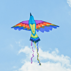 latawiec-bird-kite-paradise