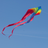 latawiec-f-tail-dart-rainbow