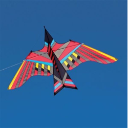 latawiec-itw-cloud-bird-ahi
