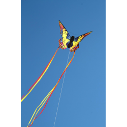 latawiec-hq-butterfly-swallowtail-r