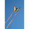 latawiec-hq-butterfly-swallowtail-r