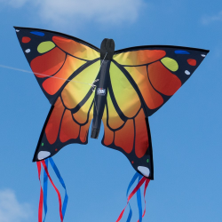 latawiec-butterfly-orange