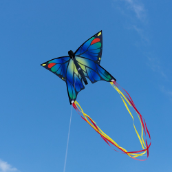 latawiec-butterfly-blue