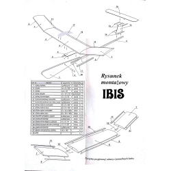szybowiec-ibis
