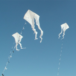 latawiec-f-tail-custom-single-white