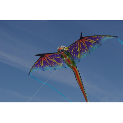 latawiec-x-kites-3-d-dragon