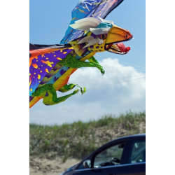 latawiec-x-kites-3-d-dragon