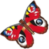 latawiec-x-kites-butterfly-kites-peacock