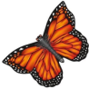 latawiec-x-kites-butterfly-kites-monarch