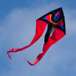 latawiec-f-tail-xm-supernova
