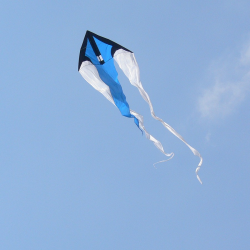 latawiec-f-tail-beam-blue