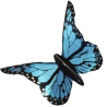 latawiec-motyl-bella-wolkensturmer-niebieski
