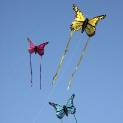 latawiec-motyl-bella-wolkensturmer-zolty
