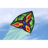 latawiec-carsten-domann-s-starlight-green