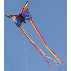 latawiec-butterfly-rainbow