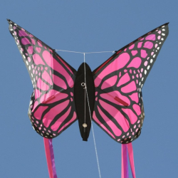 latawiec-butterfly-pink