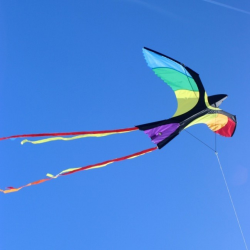latawiec-bonny-bird