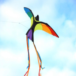 latawiec-bonny-bird