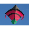 latawiec-kirk-afghan-fight-dragon-red
