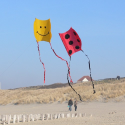 latawiec-mini-sled-smiley