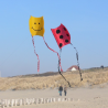 latawiec-mini-sled-smiley