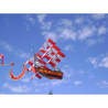 latawiec-x-kites-pirate-3d