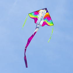 latawiec-simple-flyer-120-pegasus