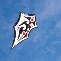 latawiec-carsten-domanns-sky-shield
