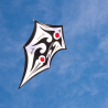 latawiec-carsten-domanns-sky-shield