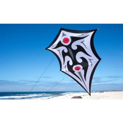 latawiec-carsten-domanns-sky-shield