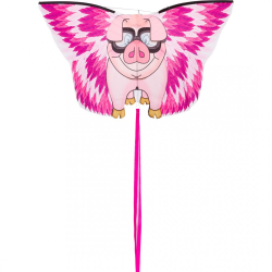 latawiec-hq-flying-floyd